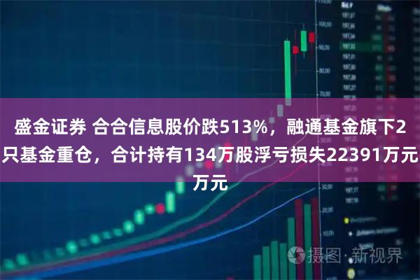 盛金证券 合合信息股价跌513%，融通基金旗下2只基金重仓，合计持有134万股浮亏损失22391万元